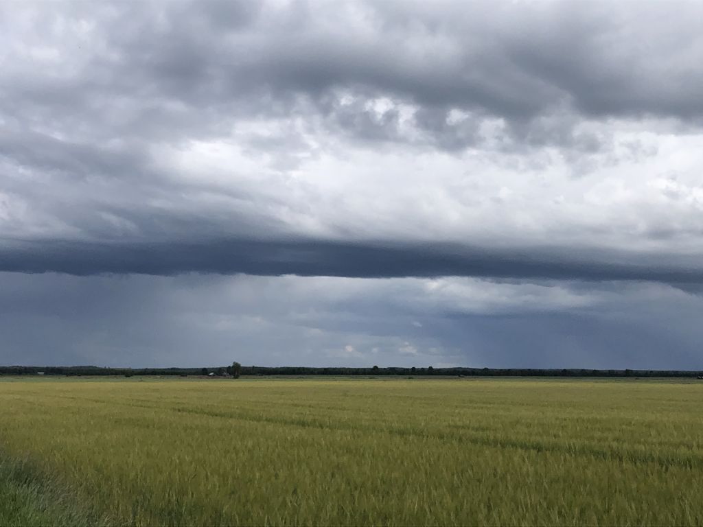 Pelto, jonka yllä pilvinen taivas